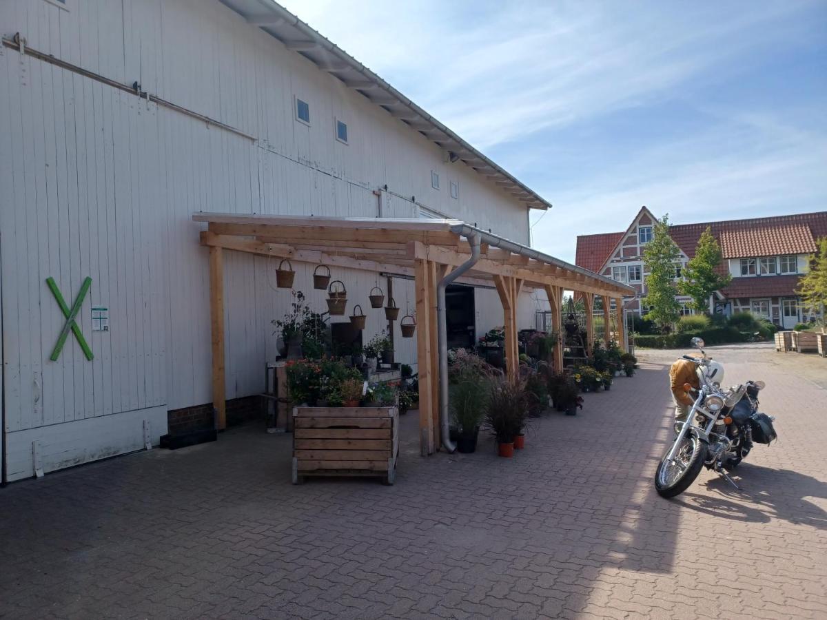 Ferienwohnung Am Elbstrom Stade Zewnętrze zdjęcie